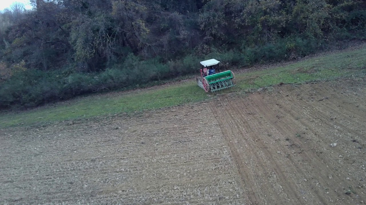Semina grano 1