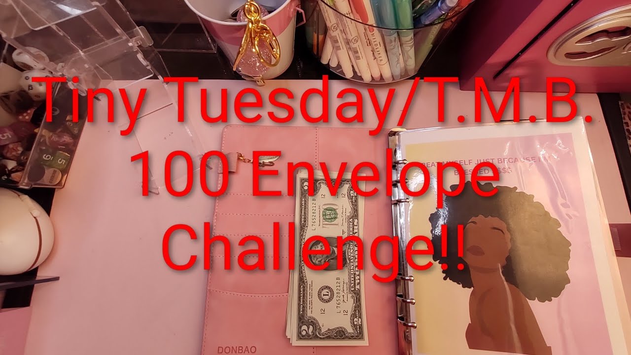 Let's Go!! Tiny Tuesday/T.M.B. 100 Envelope Challenge!! Cash Stuffing $19.00.