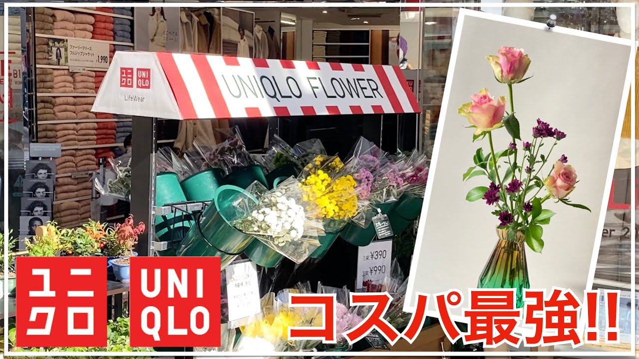 【初心者】ユニクロフラワーで誰でも簡単本格いけばな【4つの基本】