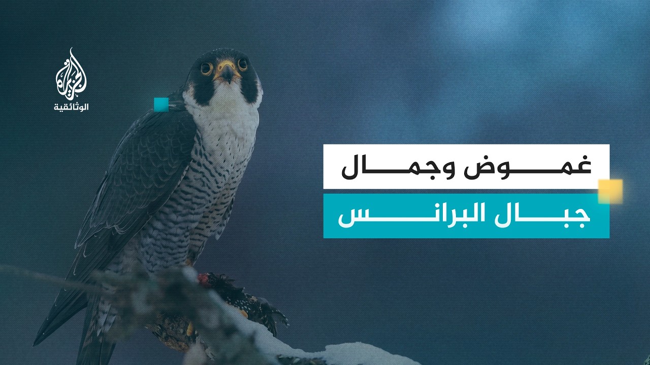 ملاذ على جبال البرانس.. على خطى الرباح