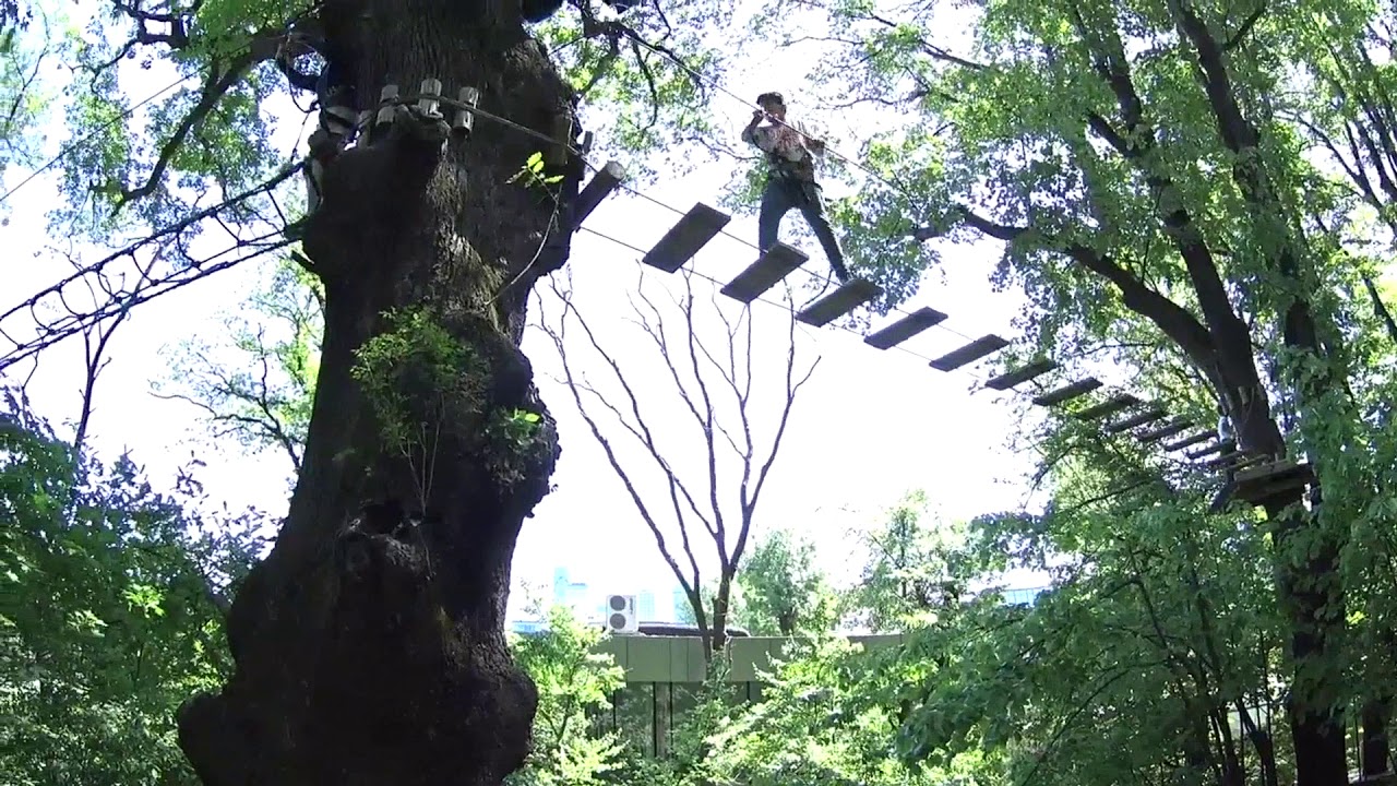 Macera park - Xtrem Aventures İstanbul