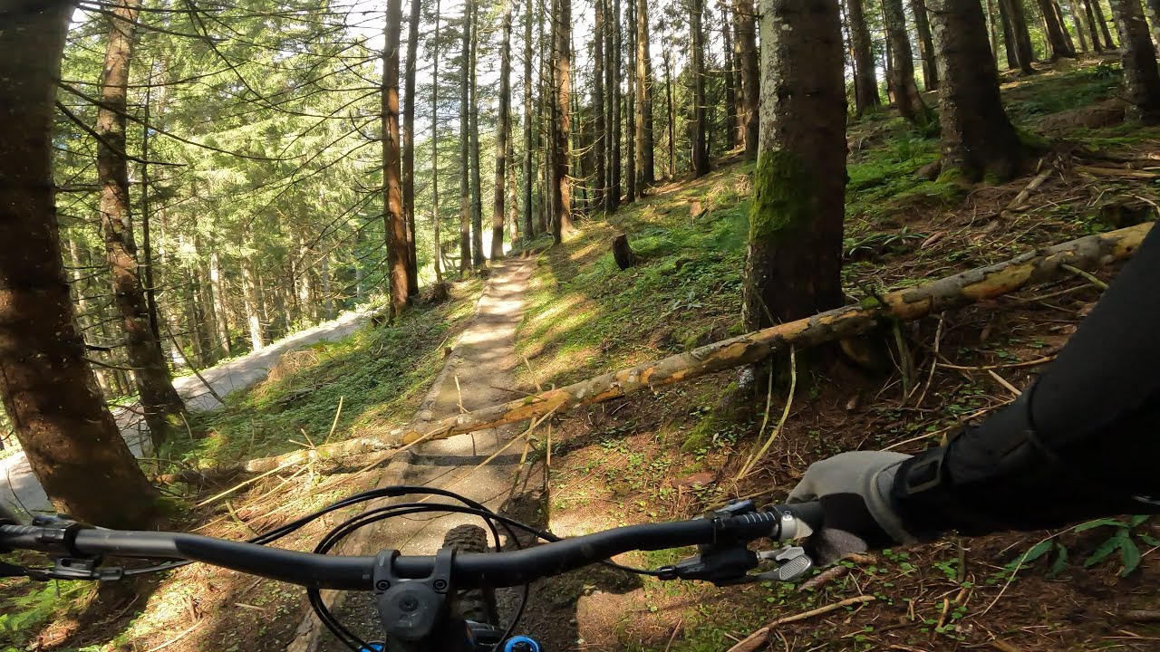 Bikepark Leogang 2022 - Knappen und Schwarzleo Trail  mit Forstarbeiten
