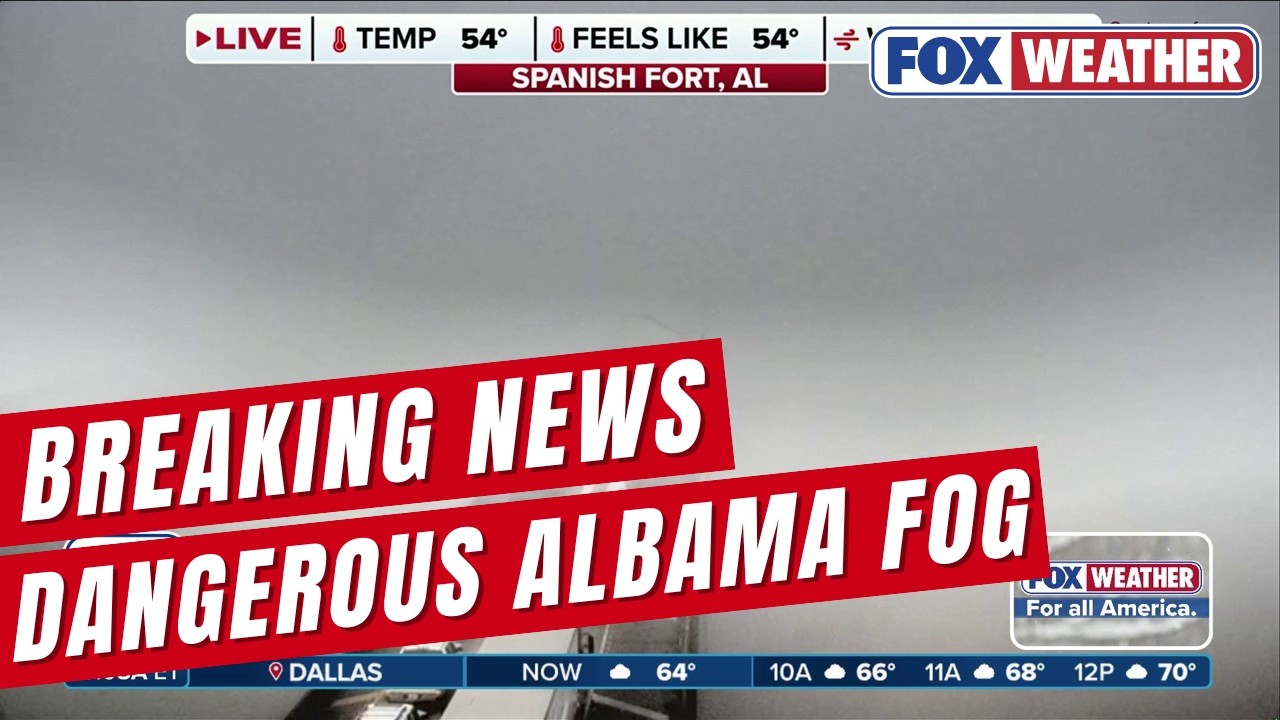 Gulf Coast Grapples With Near-Zero Visibility As Major Crash Shuts Down Critical Interstate