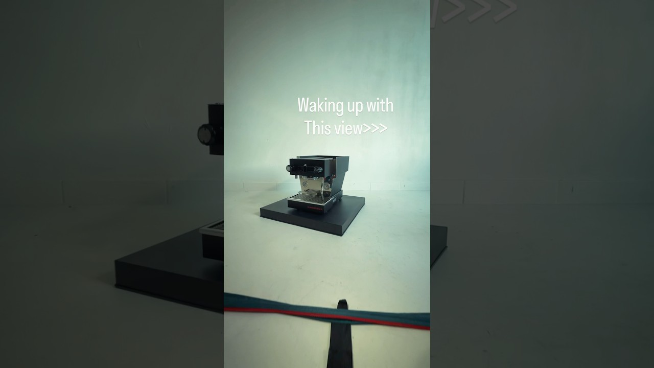 Какая мечта! 