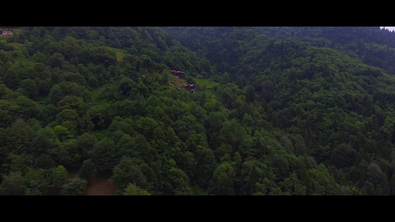 Şenyuva Köyü - Çamlıhemşin Rize