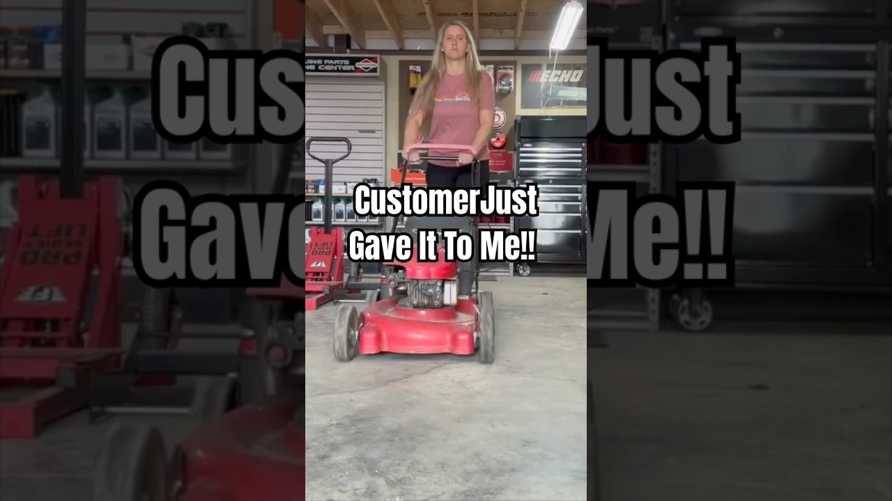 I Make So Much Money From This!  #chickanic #diy #smallenginemechanic  #briggsandstratton