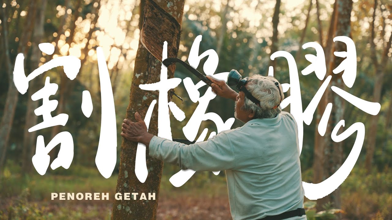 【REJI Documentary 日记纪录片】 每一道刀痕下的收入 | 割橡胶 Rubber Tapper in ChuiChak, Perak