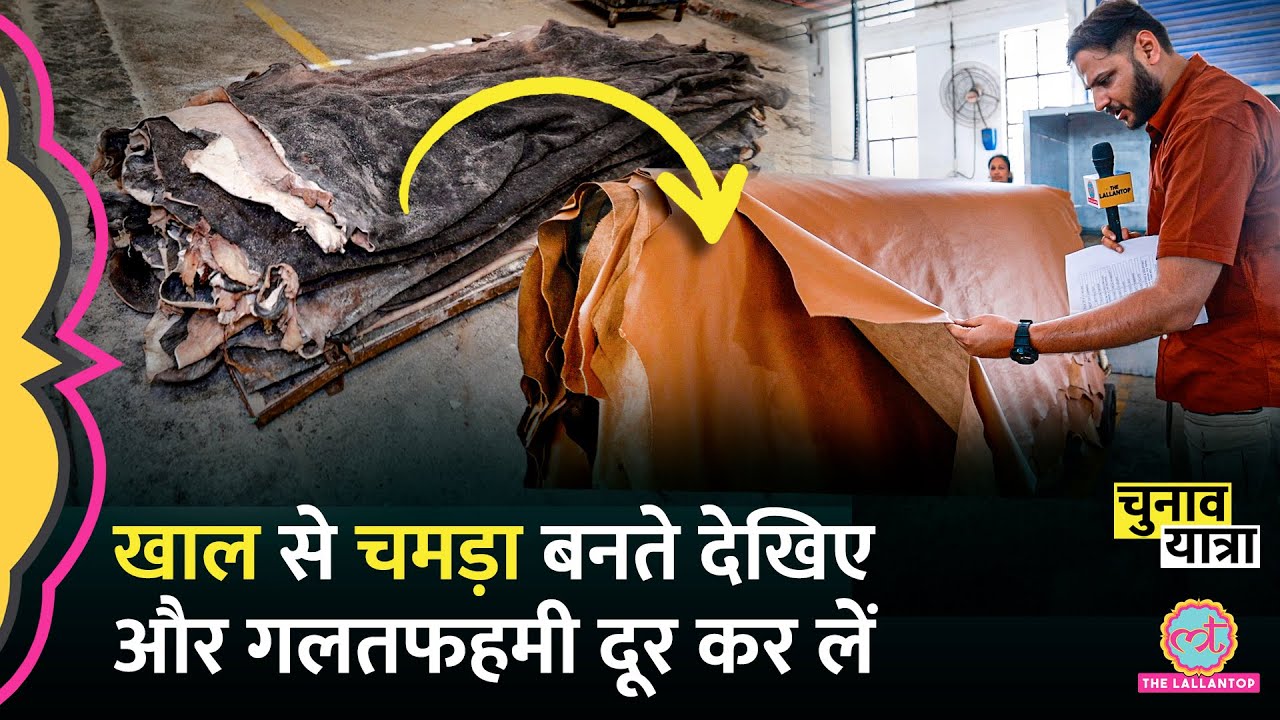 Leather Making Process | इतना चमड़ा आता कहां से है और जाता कहां है, सब जान लीजिए | Punjab Industry