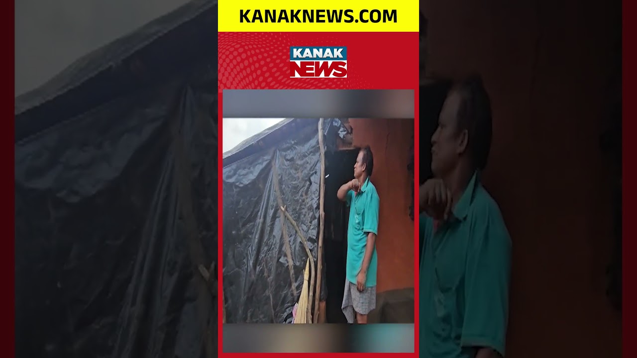 ଉତ୍ପାତ କରୁଛି ଦନ୍ତା | Big Elephant Alert In Odisha | Tusker Creates Panic, Villagers Living In Fear
