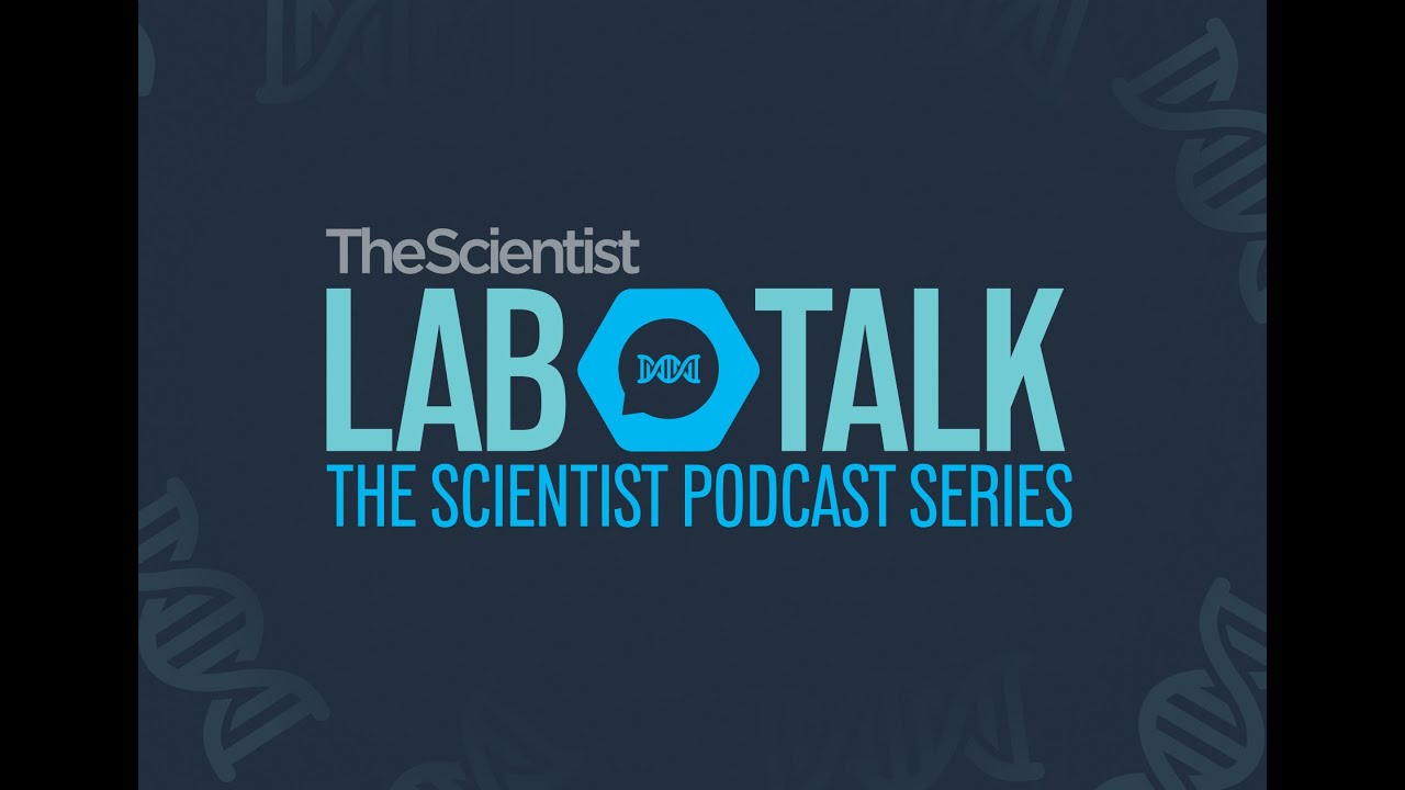 LabTalk Episode 2: Surviving Stress: The Mysteries of Neuronal Survival and Neurodegeneration