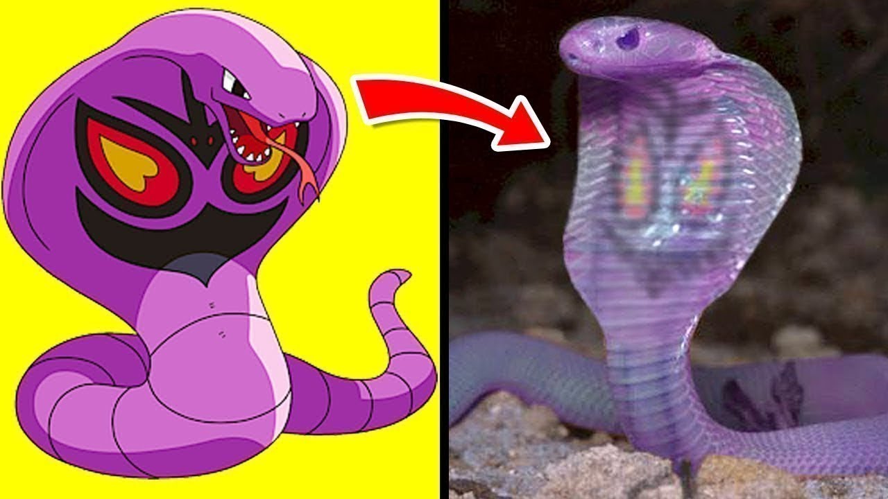 Pokémons Que Existem Na Vida Real - Parte 2