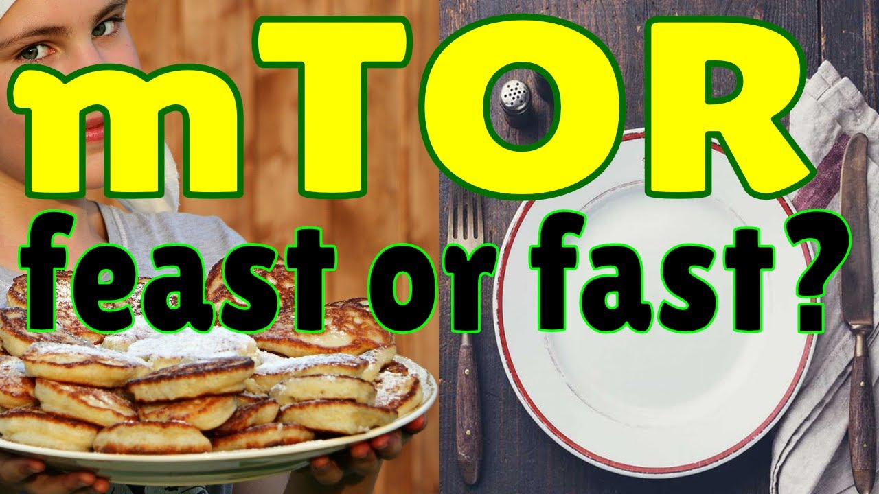 mTOR Longevity