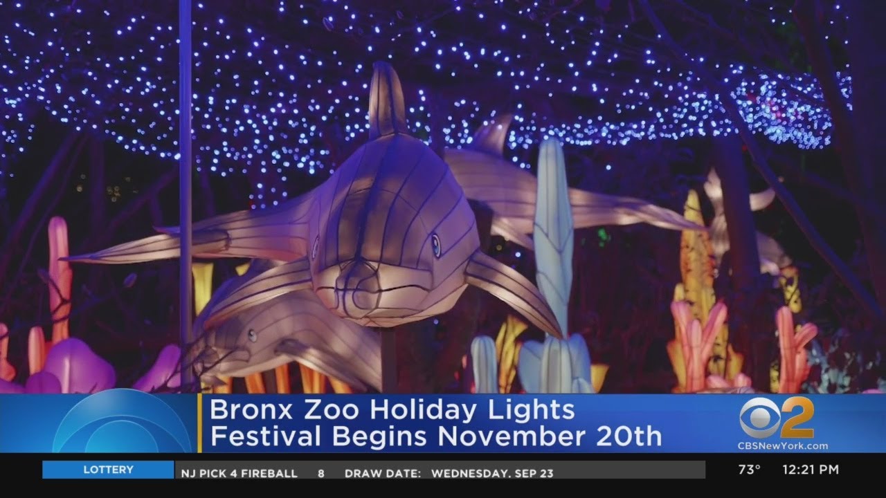 Bronx Zoo Holiday Lights Festival Begins Nov. 20