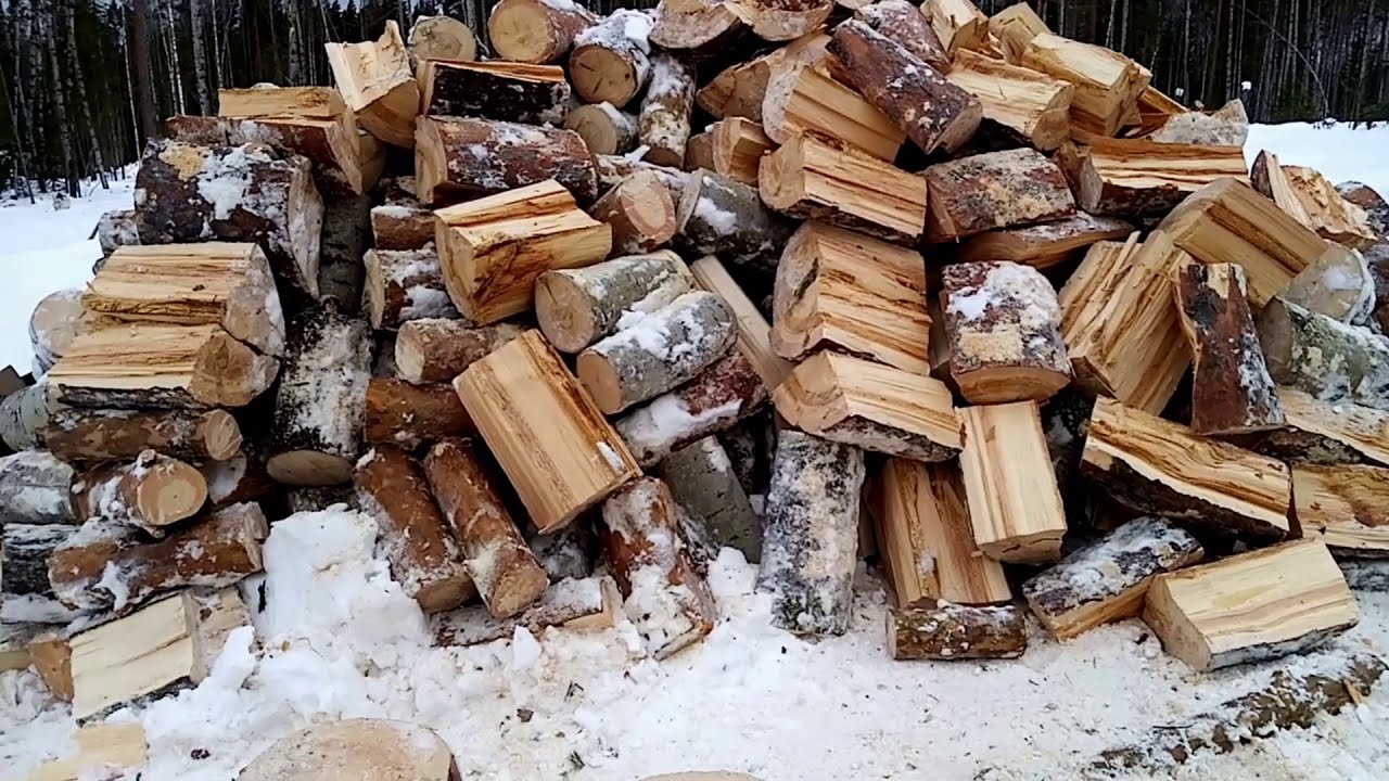 В лес за дровами.