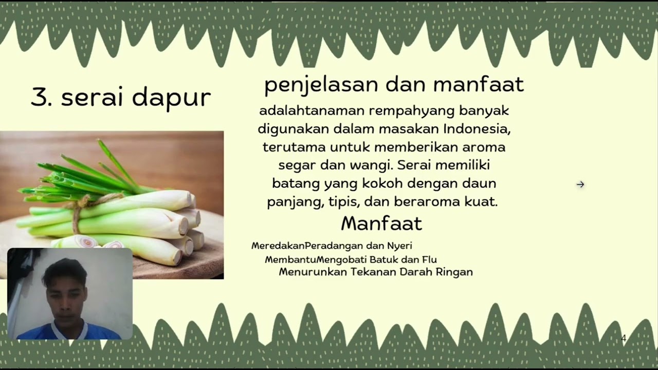 Menjelaskan 5 tanaman obat beserta manfaatnya 