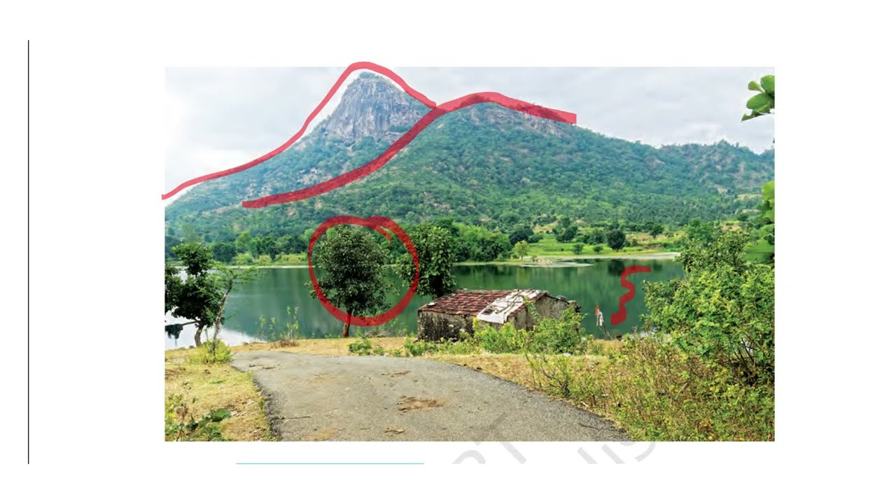 CLASS 6th SOCIAL SCIENCE NCERT ( WHY SOCIAL SCIENCE )