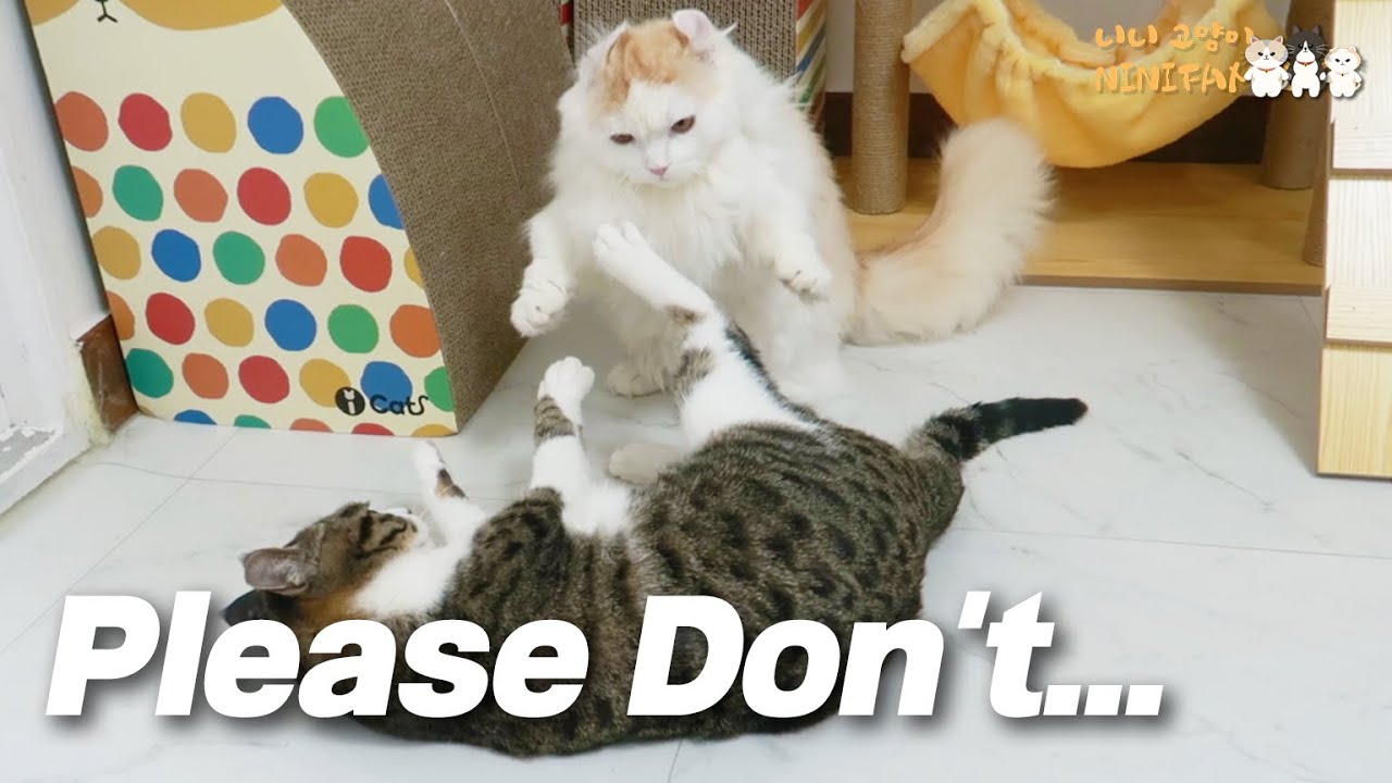 Soni is Bothering Yuni Again today... Oh My God!
