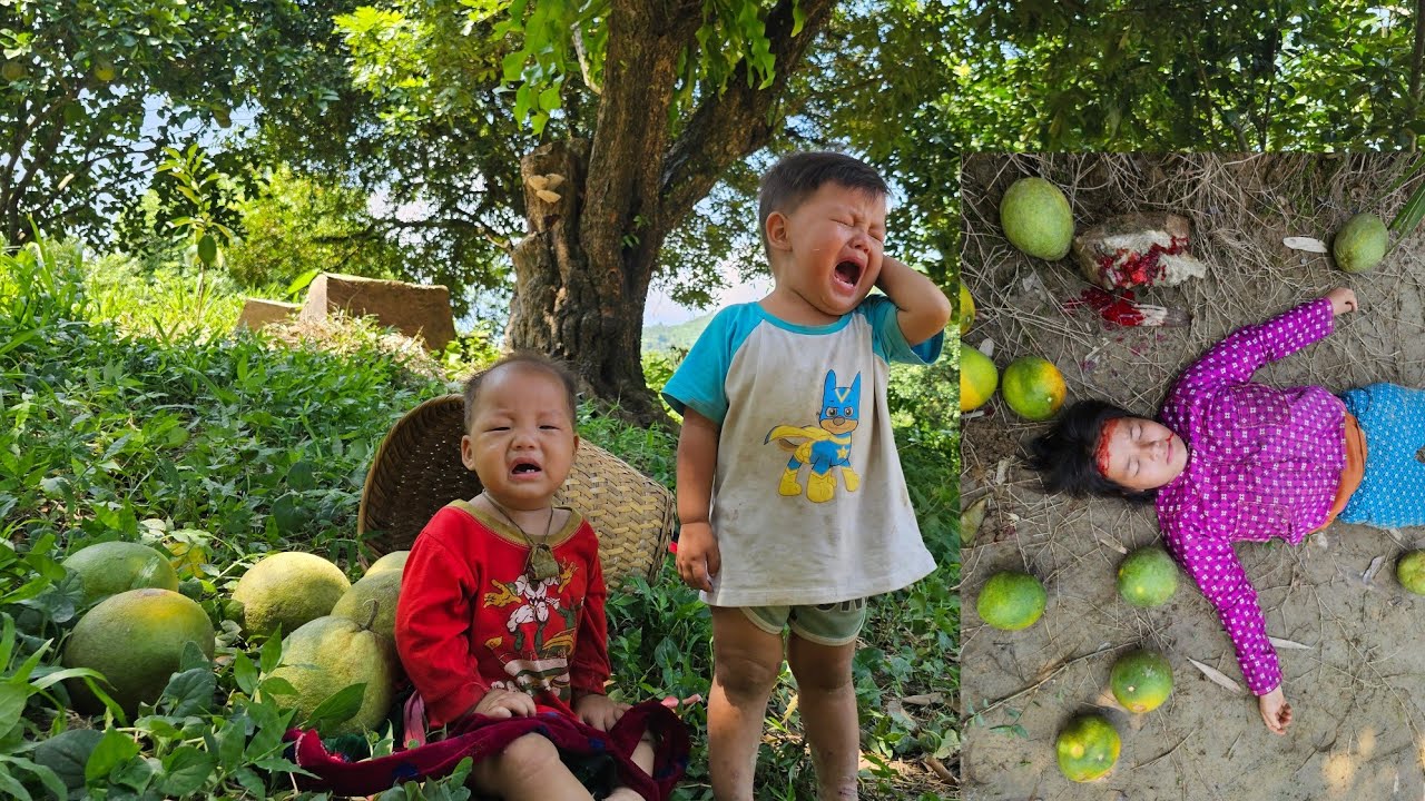 A single mother took her child to pick grapefruit but unfortunately fell from a high place