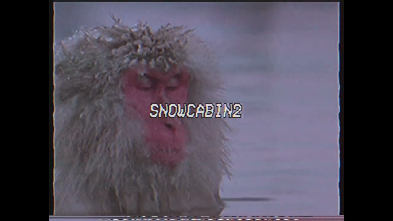 inakabeats - snowCabin2 (beat tape)
