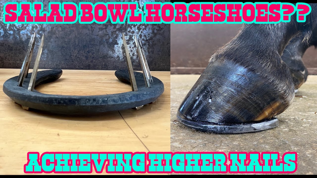 HORSESHOE WITH A SALAD BOWL? Sole Relief and Higher Nails!
