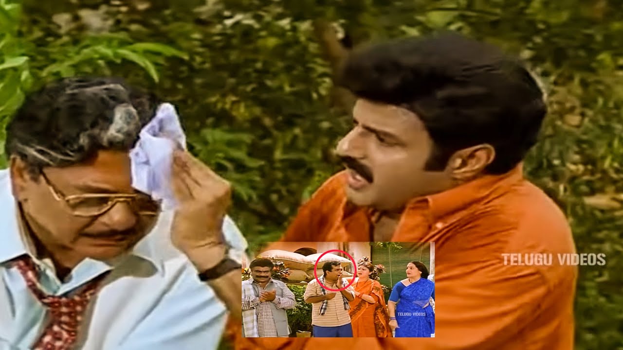 Nandamuri Balakrishna, Krishnam Raju & Brahmanandam best Movie Ultimate Comedy Scene | @TeluguVideoZ