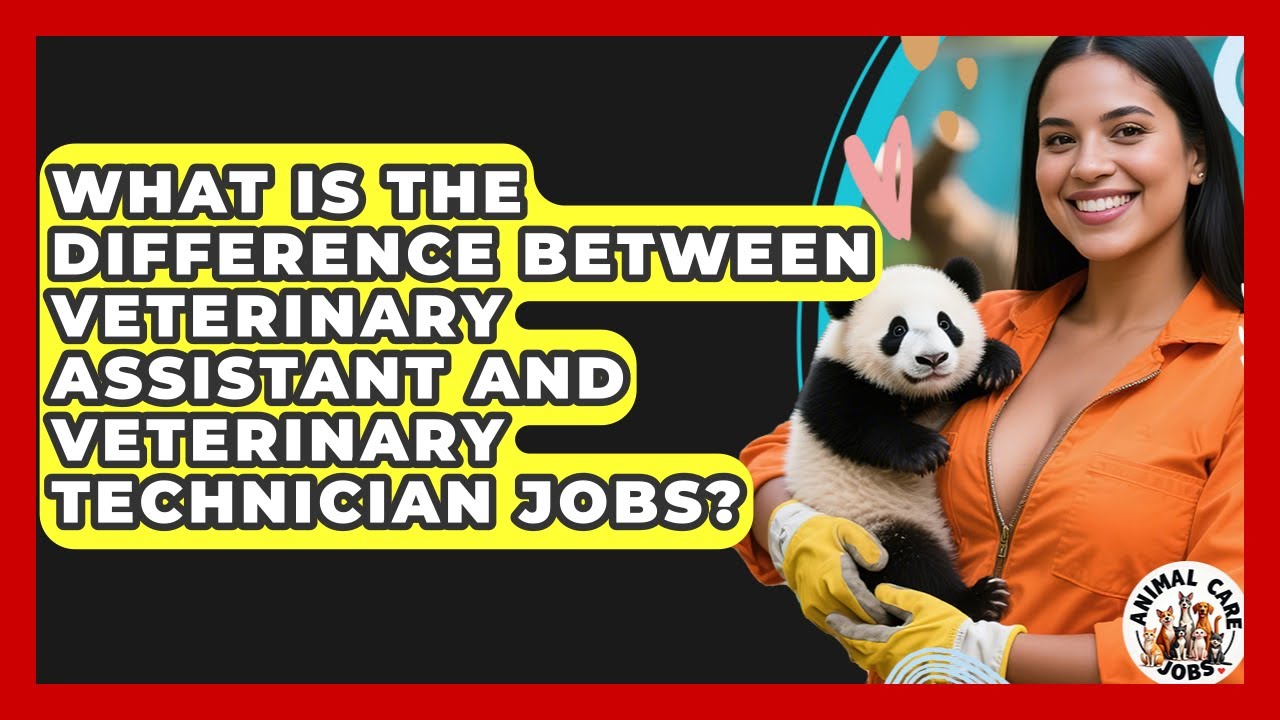 What Is the Difference Between Veterinary Assistant and Veterinary Technician Jobs?