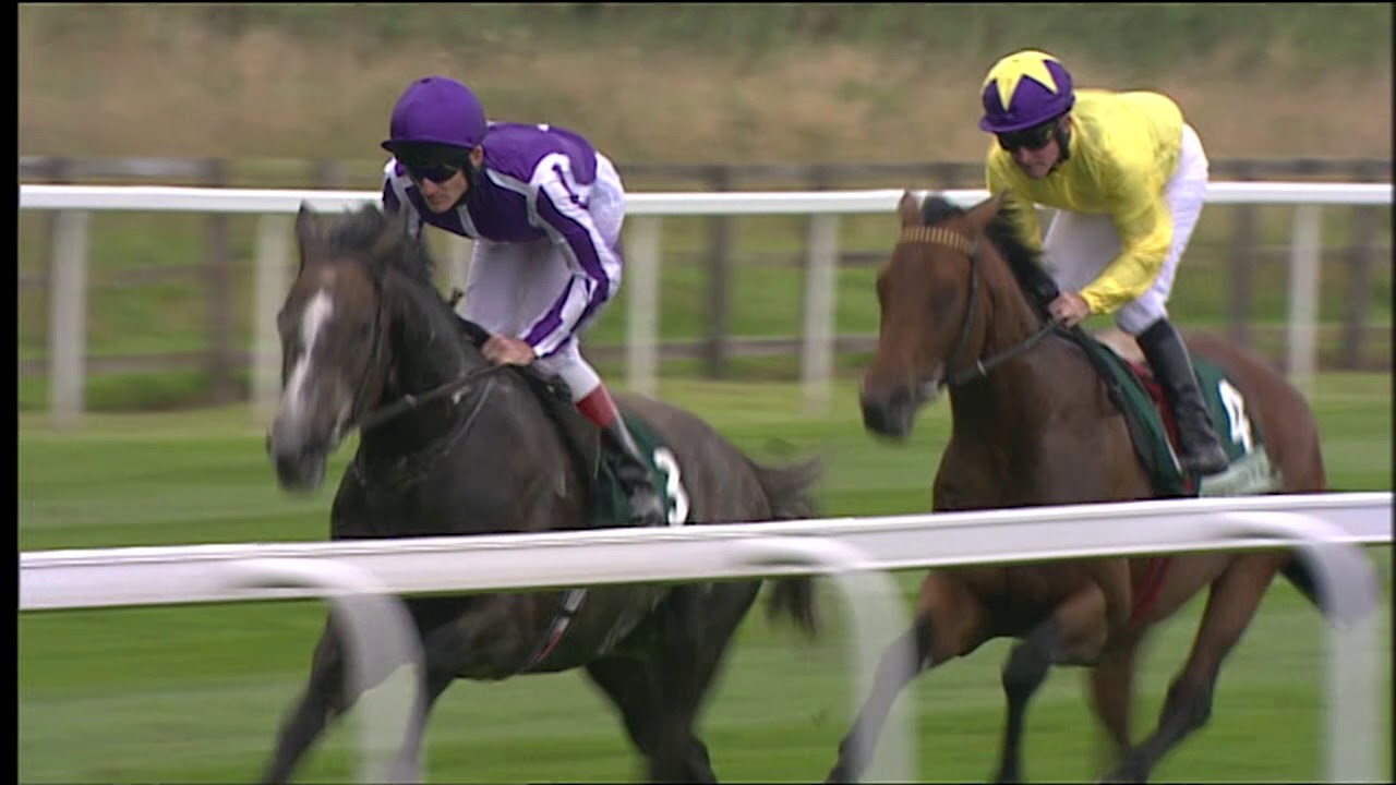 Juddmonte International Greats - Notable Winners - Racing TV