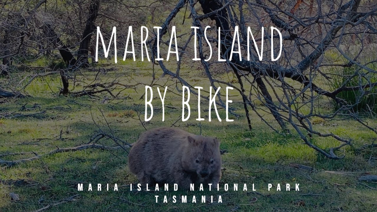 Maria Island (Tasmania) By Bike