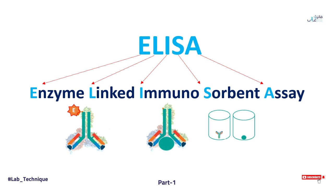 شرح تقنية الاليزا ELISA - الجزء الاول