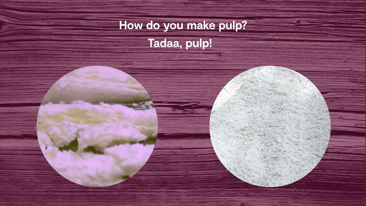 What is pulp and where does it come from?