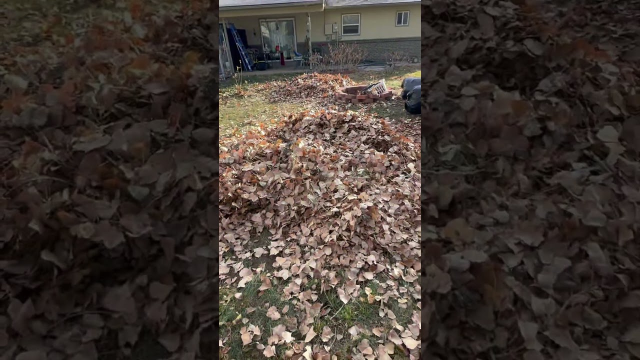 Big leaves clean up redmax blower 