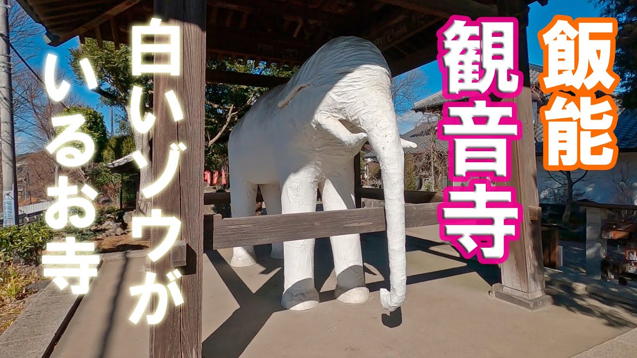 白いゾウがいる変わったお寺【飯能観音寺】