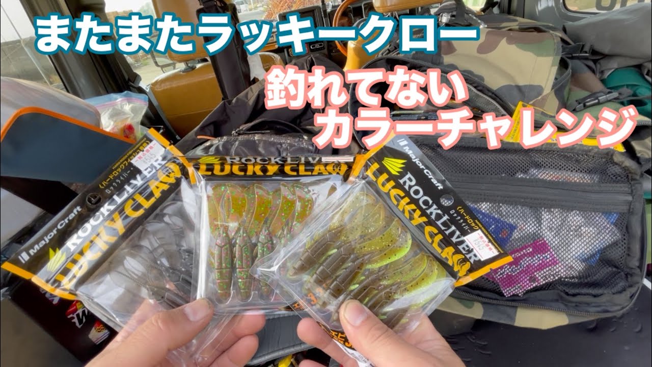 ラッキークローまだ釣ってないカラーでって見よう【アコウ】