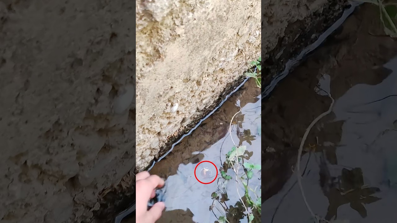 How to make coins stay out ? #coinwashing