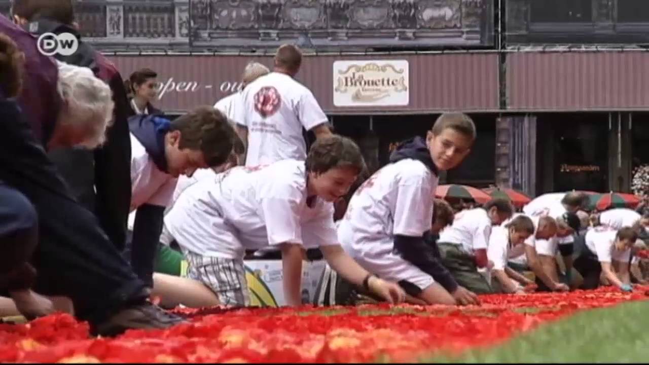 Flower Carpet in Brussels | Euromaxx