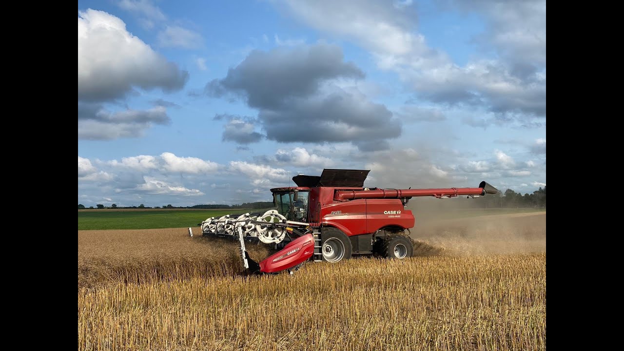 Canola & Coffee Speaker Series: Direct Harvesting Canola