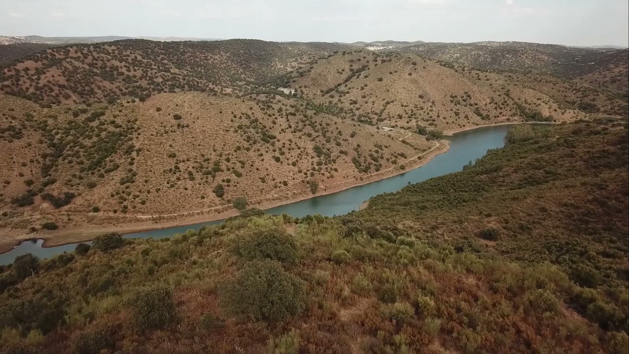 Venta de finca r&uacute;stica en Sevilla, 12 hect&aacute;reas, 60.000 &euro;