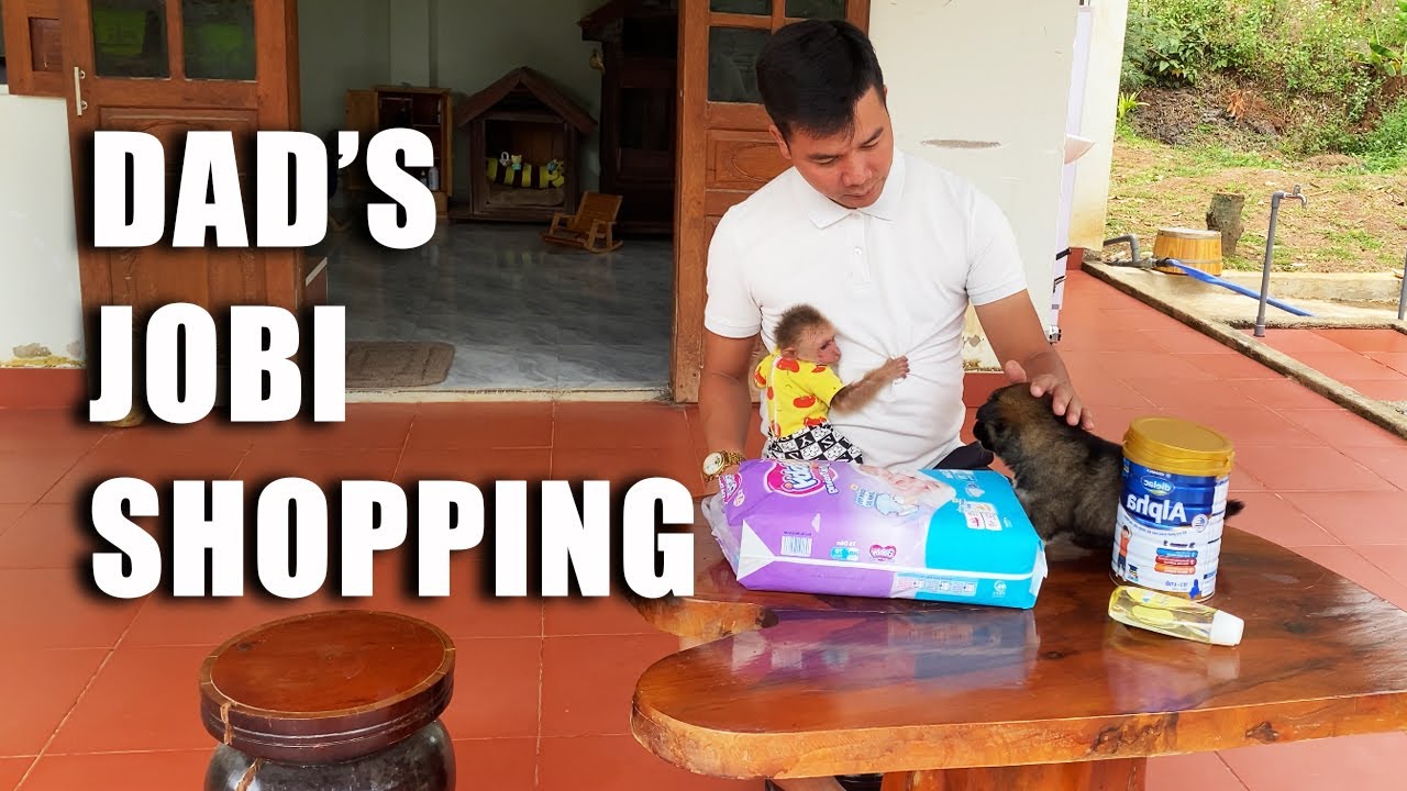 JOBI & LUCKY'S  Miserable Morning | Out Of Milk, Dad HUNG Goes To Buy Food For The Baby Monkey