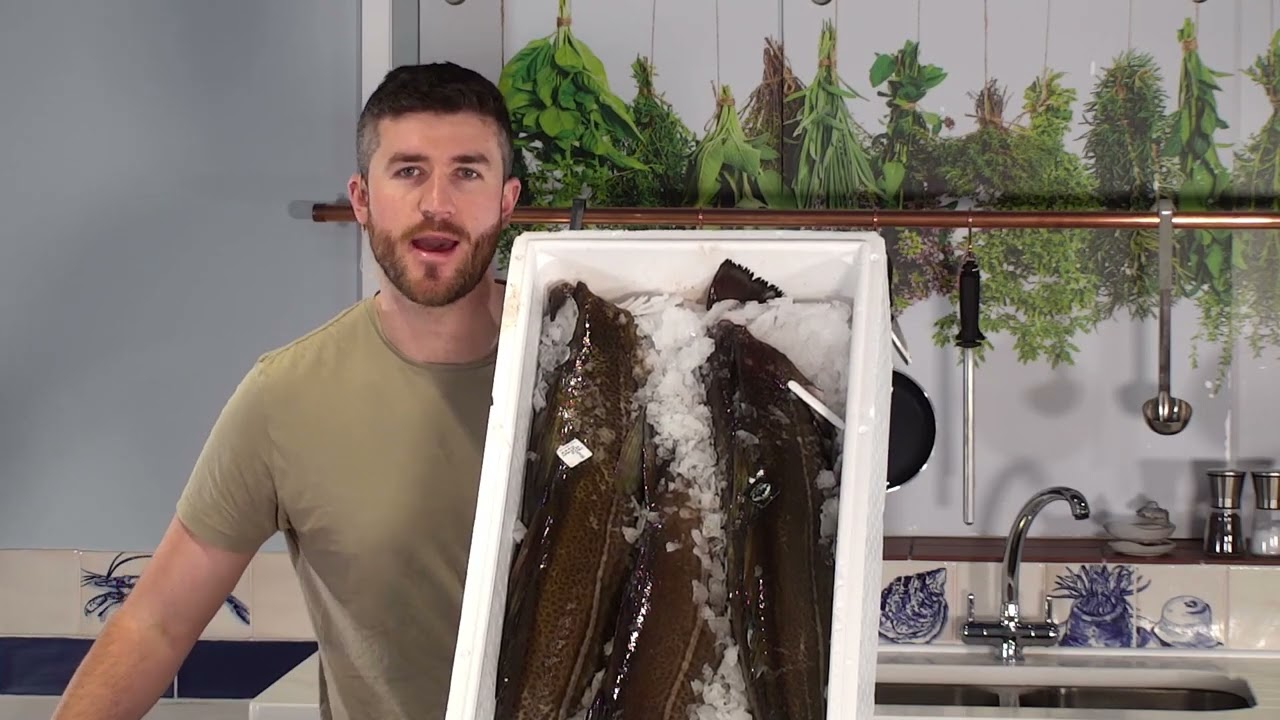 Catch of the Day: Skrei Cod - Showing off large Norwegian Specimans