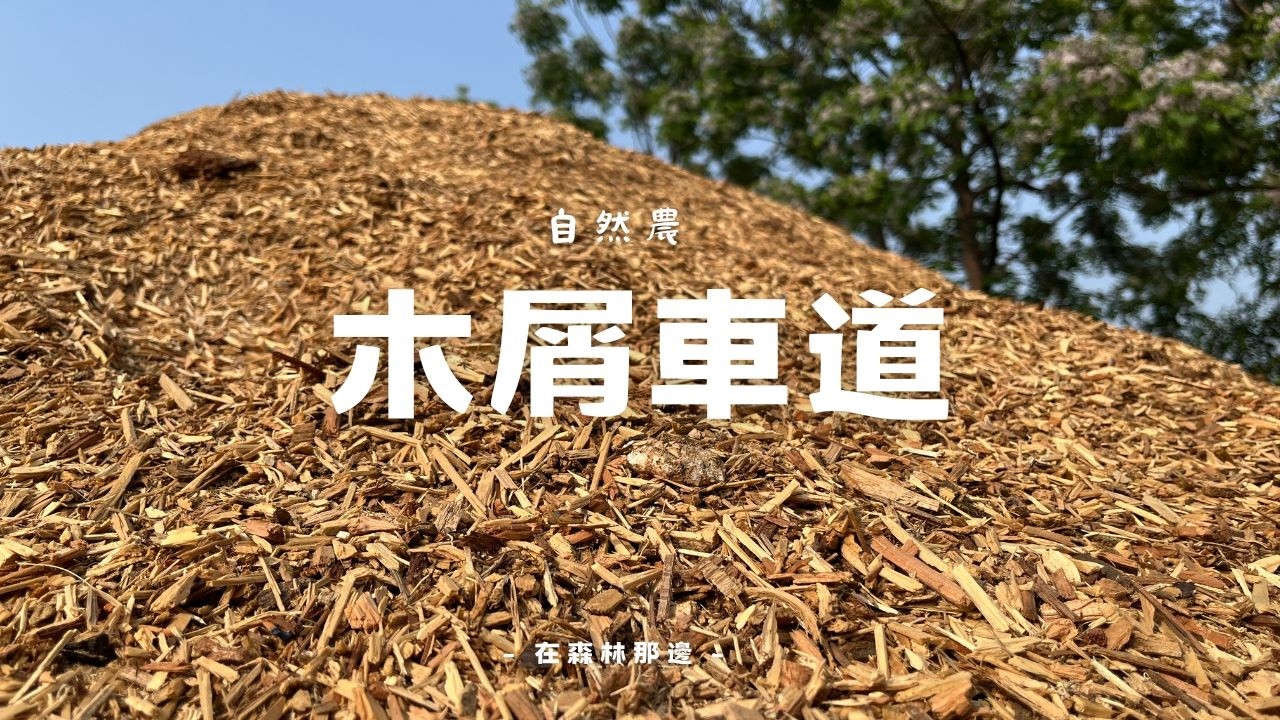 【自然農法實作】只靠木屑，打造出雨天也不爛的農場車道！不花錢又環保！