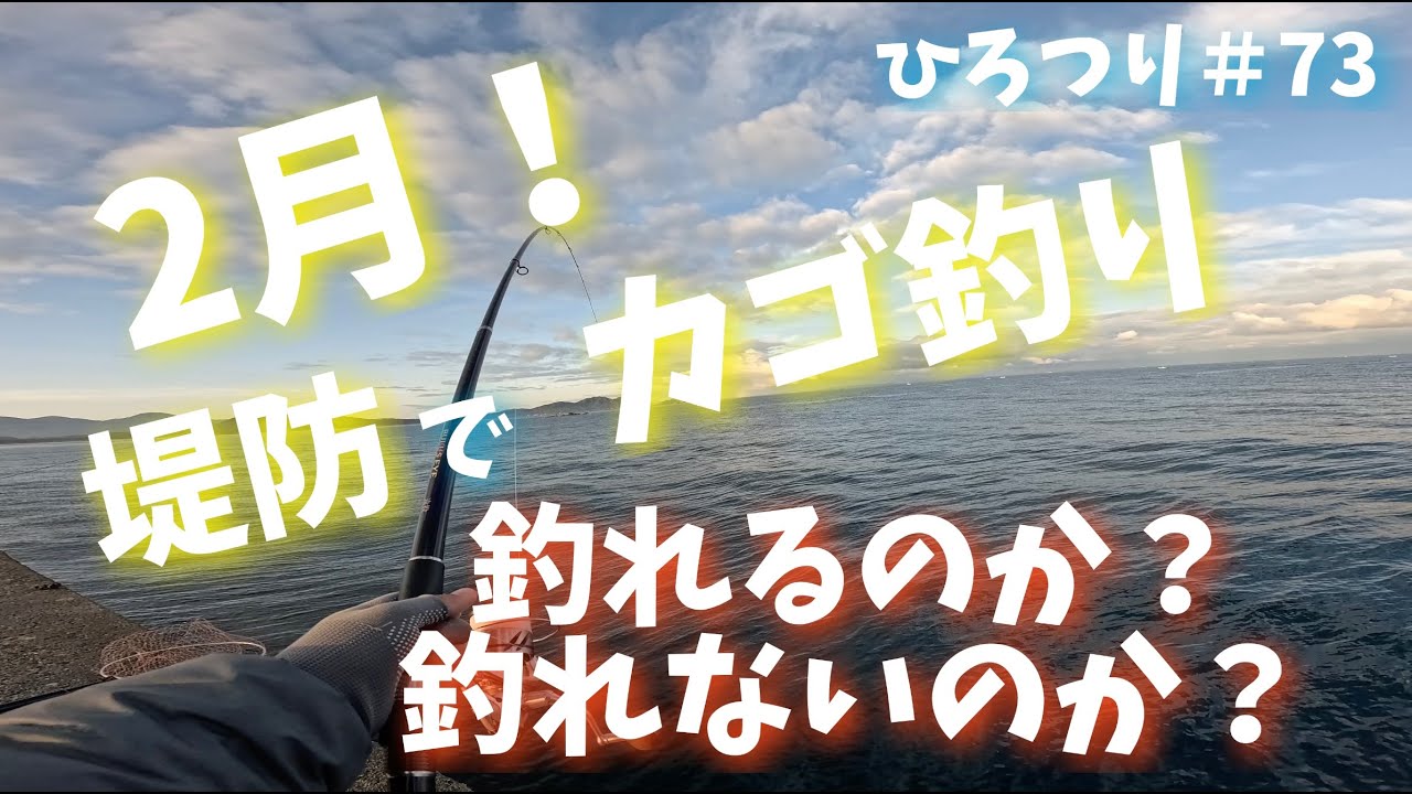 【旧ひろつり】【ライトカゴ釣り】令和6年2月 堤防でカゴ釣り　釣れるのか？釣れないのか？