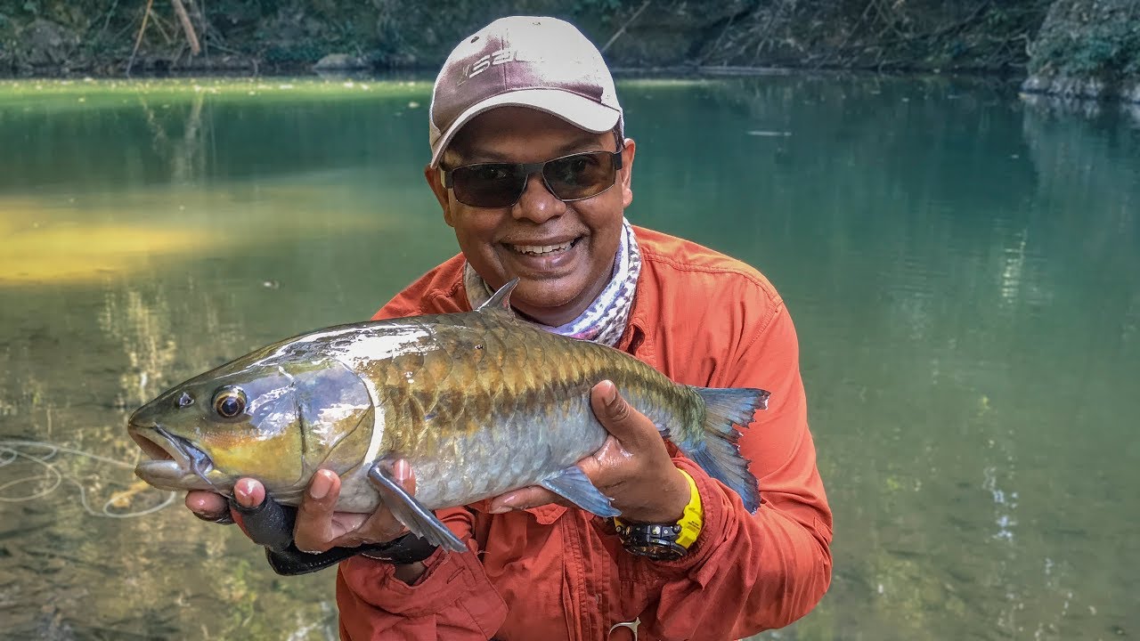 IN PURSUIT OF INNER PEACE: Mahseer Fly Fishing  - Thailand