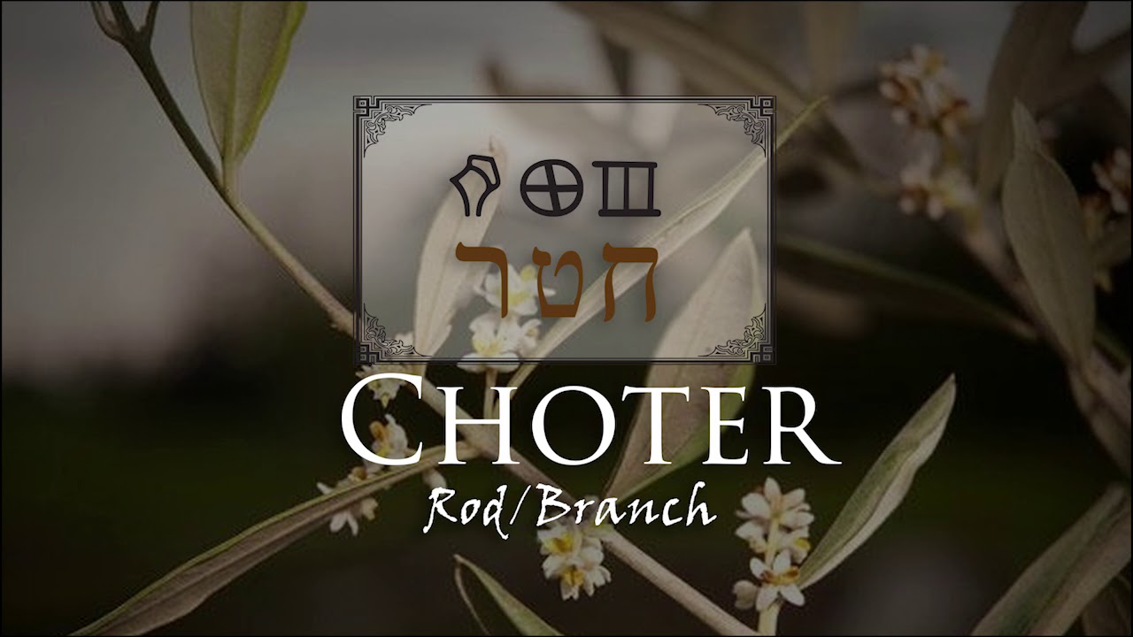 The Mystery in Choter and Netzer: The Rod & Branch of Jesse