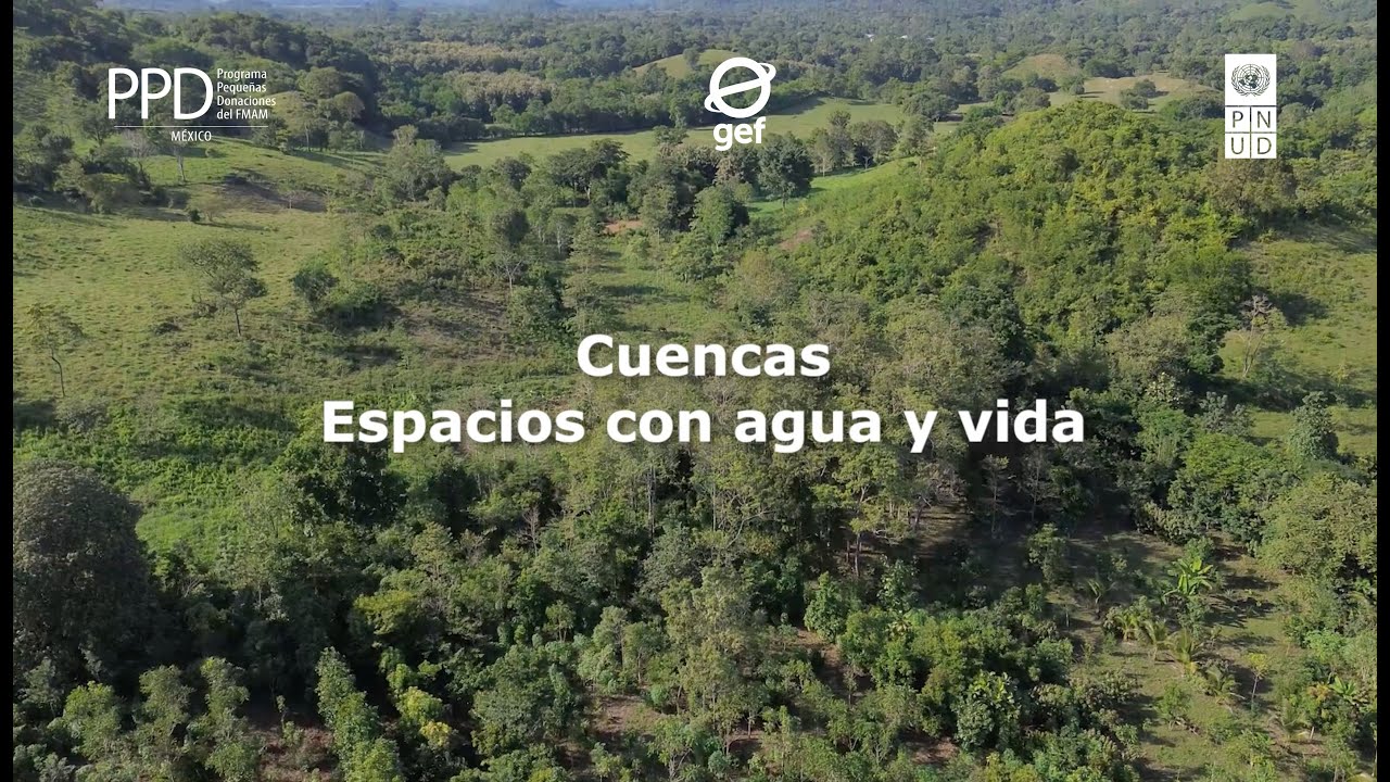 Día Interamericano del Agua: Cuenca Baja Grijalva Usumacinta