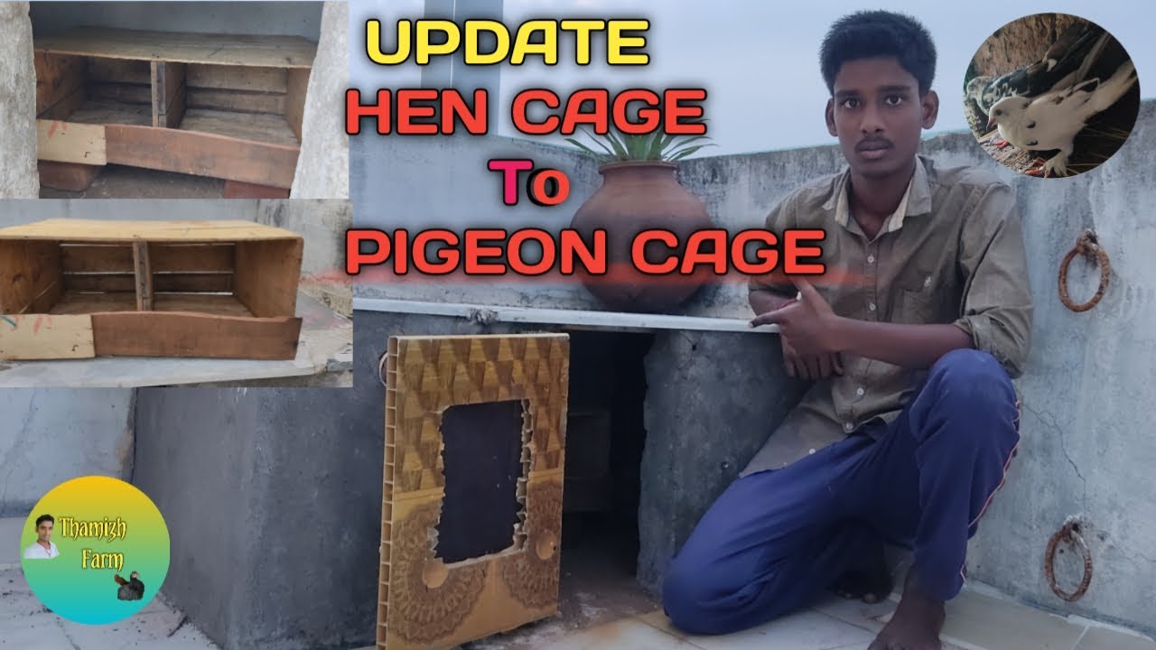 Pura Koondu With Apple Box In Tamil//pura koondu seivathu eppadi in tamil