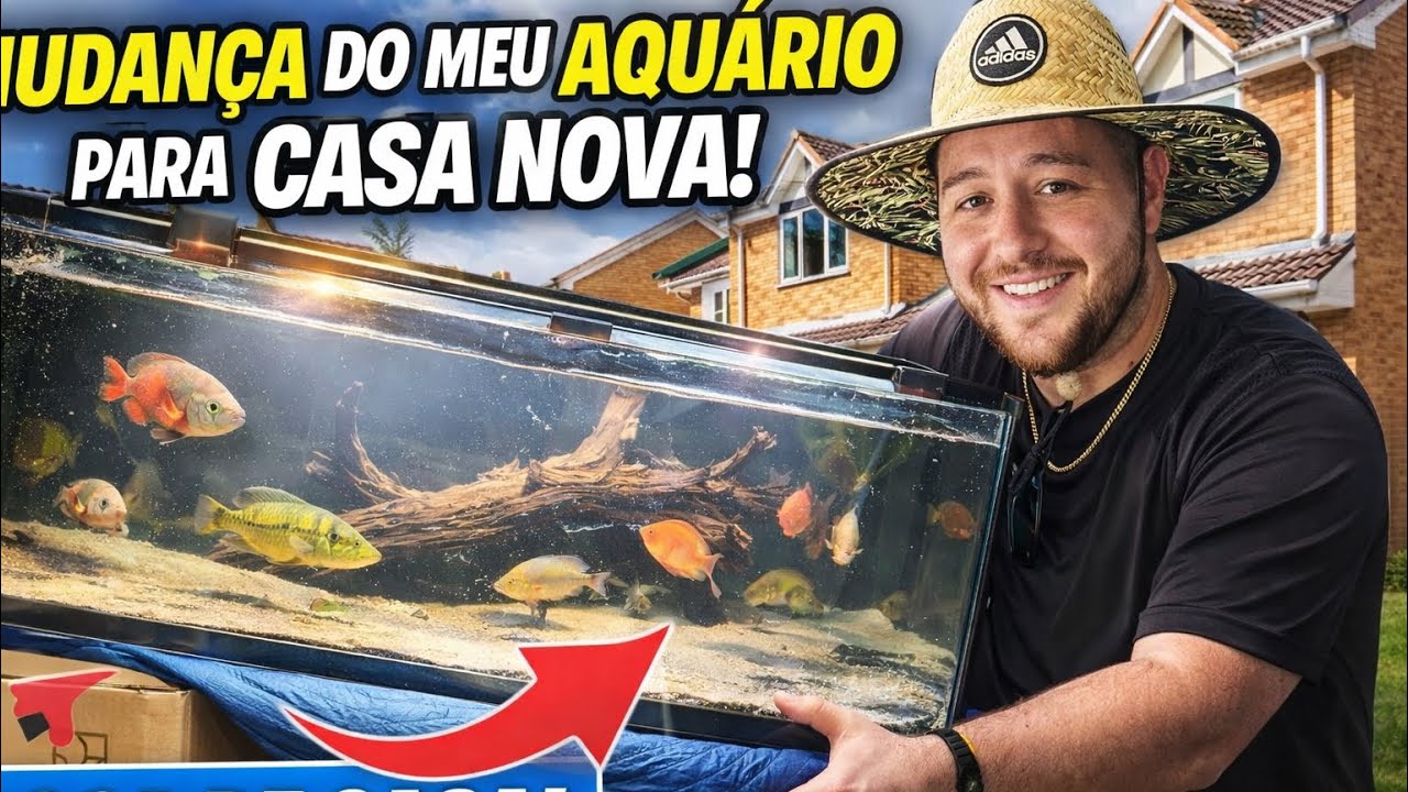 🚚 O Desafio de Mudar de Casa com Aquários Gigantes e Peixes!