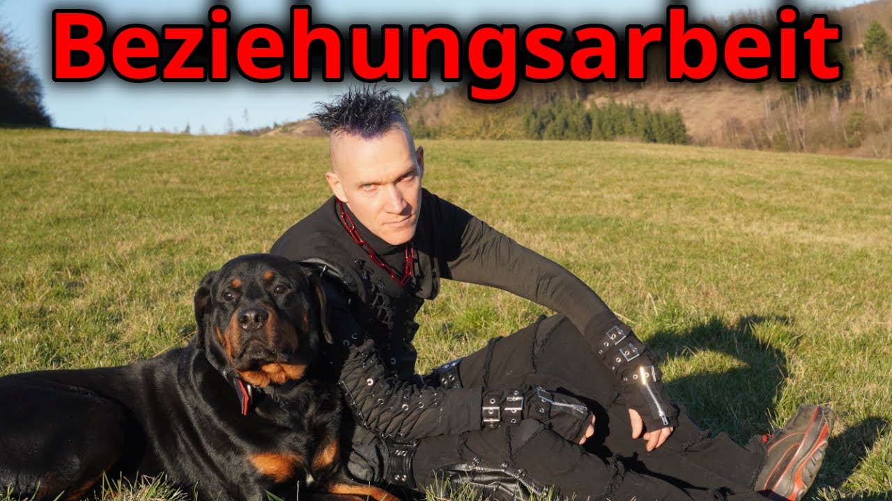 Mit diesen Verhaltensweisen schädigst Du die Beziehung zu Deinem Hund!