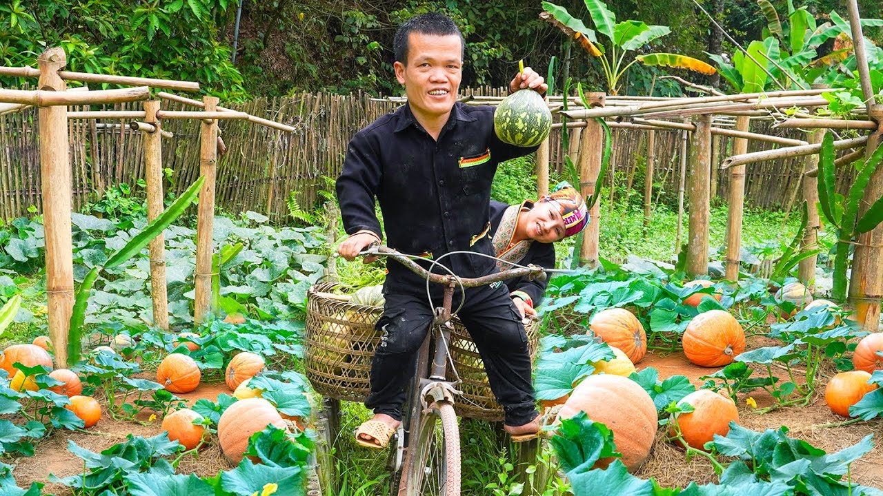 Dwarf family's bumper harvest: Harvesting pumpkins to sell at the market | Dwarf Family Rural Life