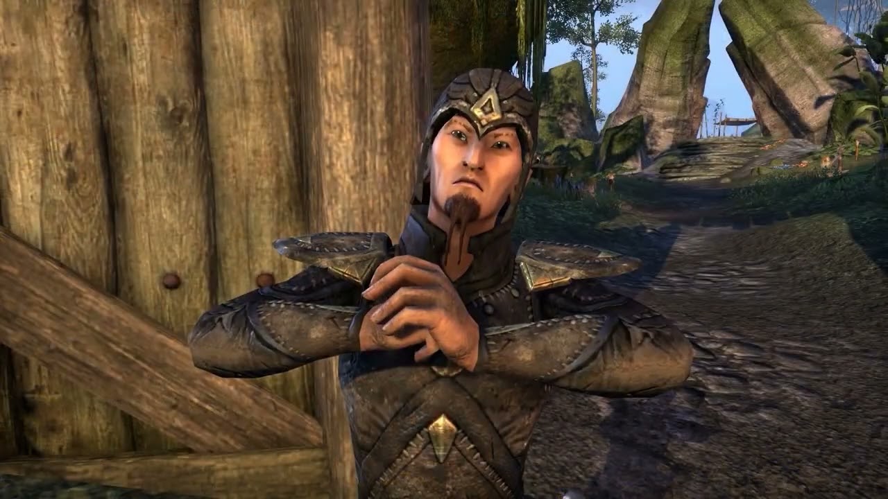 The BEST Region in All of Tamriel? - Elder Scrolls Valenwood