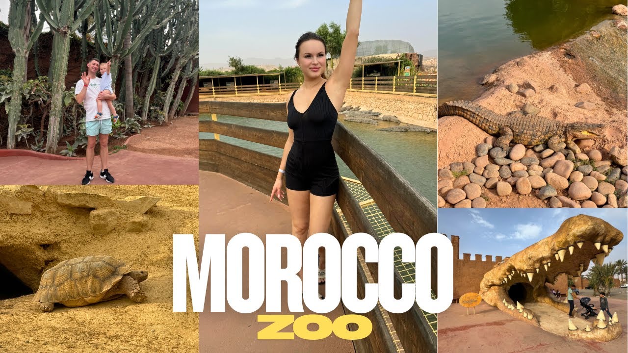 Полный обзор зоопарка Марокко | Крокодилы, черепахи, драконы и многое другое – Crocoparc Agadir
